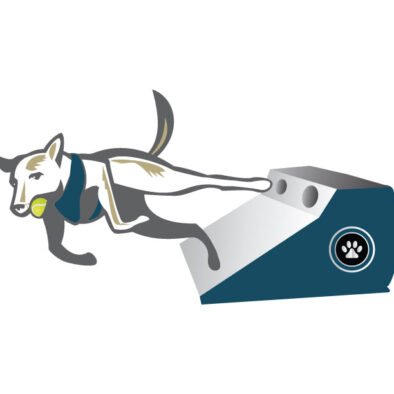 Seattle FlyDogs Flyball